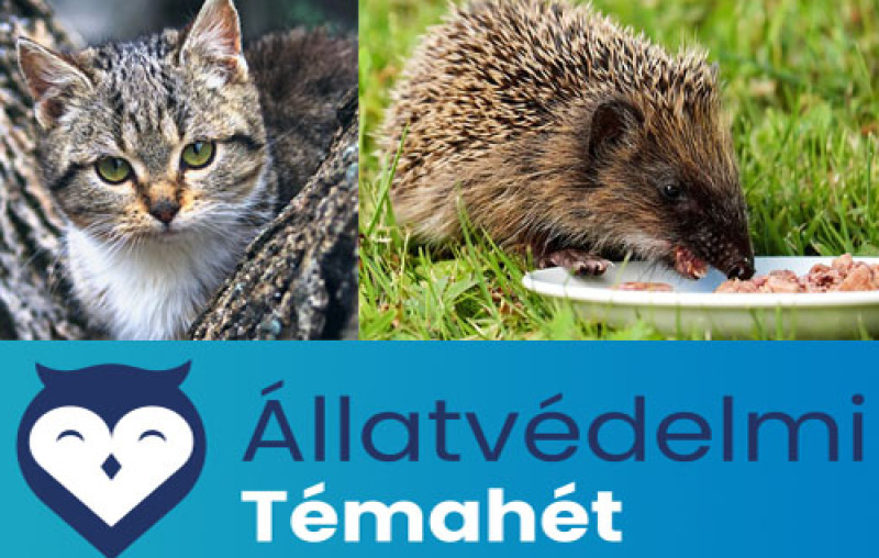 Állatvédelmi Témahét a Széchenyiben 2025