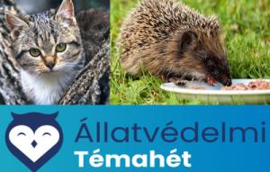 Állatvédelmi Témahét a Széchenyiben 2025